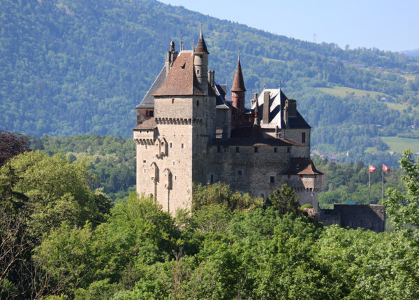 Vocom News Galerie 06